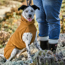 Warming Midlayer ECO dog jacket
