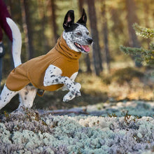Warming Midlayer ECO dog jacket