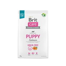 Brit Care Dog Grain-free Salmon Puppy Száraztáp