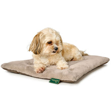 Dog Mat Rockford