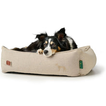 Recycling Dog sofa Belluno