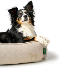 Recycling Dog sofa Belluno