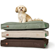 Recycling Dog cushion Belluno