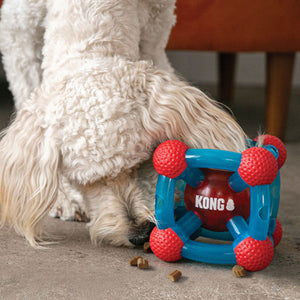 Dog toy KONG® Rewards Tinker
