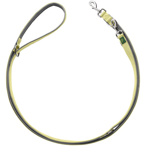 Training Leash Neopren