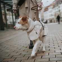 Dog Coat Nordby Kutyakabát