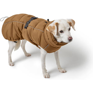 Dog Coat Paxson Kutyakabát Tacskó Alkatú Kutyáknak