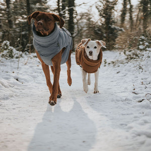 Dog Coat Paxson Kutyakabát Tacskó Alkatú Kutyáknak