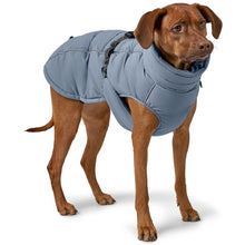 Dog Coat Paxson Kutyakabát Tacskó Alkatú Kutyáknak