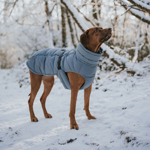 Dog Coat Paxson Kutyakabát Tacskó Alkatú Kutyáknak