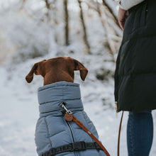 Dog Coat Paxson Kutyakabát Tacskó Alkatú Kutyáknak