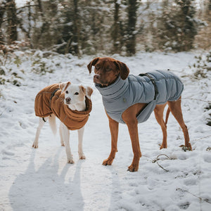 Dog Coat Paxson Kutyakabát Tacskó Alkatú Kutyáknak