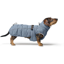 Dog Coat Paxson Kutyakabát Tacskó Alkatú Kutyáknak