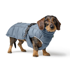 Dog Coat Paxson Kutyakabát Tacskó Alkatú Kutyáknak