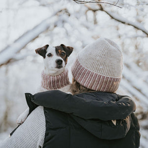 Dog Pullover Odense