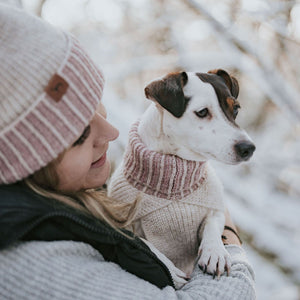 Dog Pullover Odense