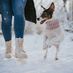 Dog Pullover Odense