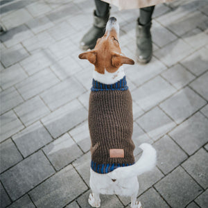 Dog Pullover Odense