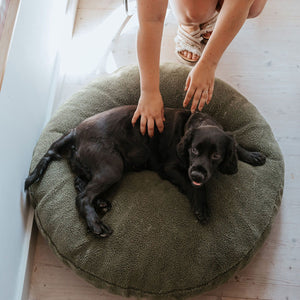 Dog Cushion Kumara