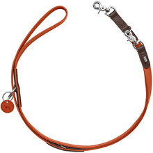 Training Leash Lemvig