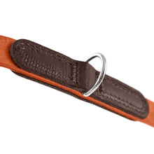 Training Leash Lemvig