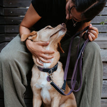 Training Leash Lemvig