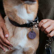 Training Leash Lemvig