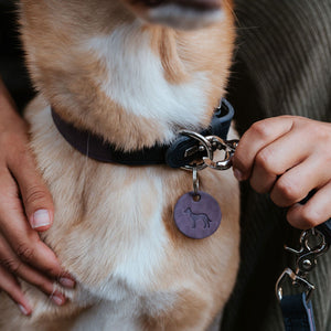 Training Leash Lemvig