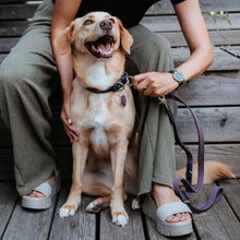 Training Leash Lemvig