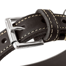 Greyhound Collar Aalborg