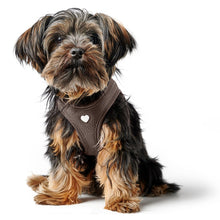 Harness Love