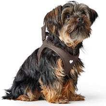 Harness Love