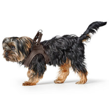 Harness Love