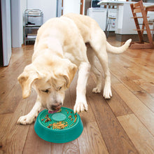 Treat dispenser KONG® Licks Spinz