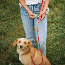 5in1 Multifunctional leash Malibu 8/300