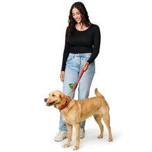 5in1 Multifunctional leash Malibu 8/300