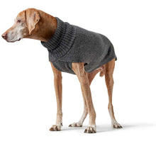 Dog Pullover Genf