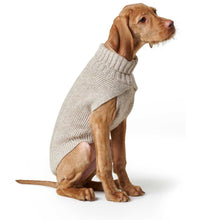 Dog Pullover Genf