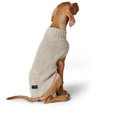 Dog Pullover Genf