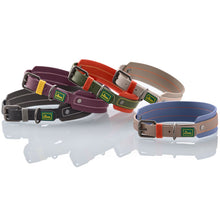 Collar Havanna Mini