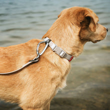 Training leash Havanna 20/200