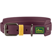 Collar Havanna Mini