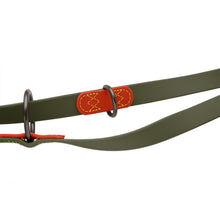 Training Leash Havanna