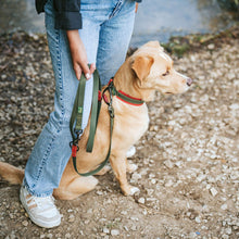 Training leash Havanna 20/200