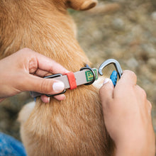 Training leash Havanna 20/200