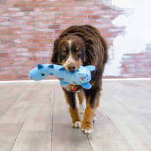 Dog toy KONG® Dynos™ Roars