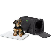 Pet Carrier Kansas