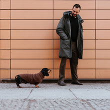 Dog Pullover Birka