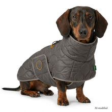 Dog coat Lundby Dachshund Kutyakabát