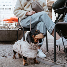 Dog coat Lundby Dachshund Kutyakabát